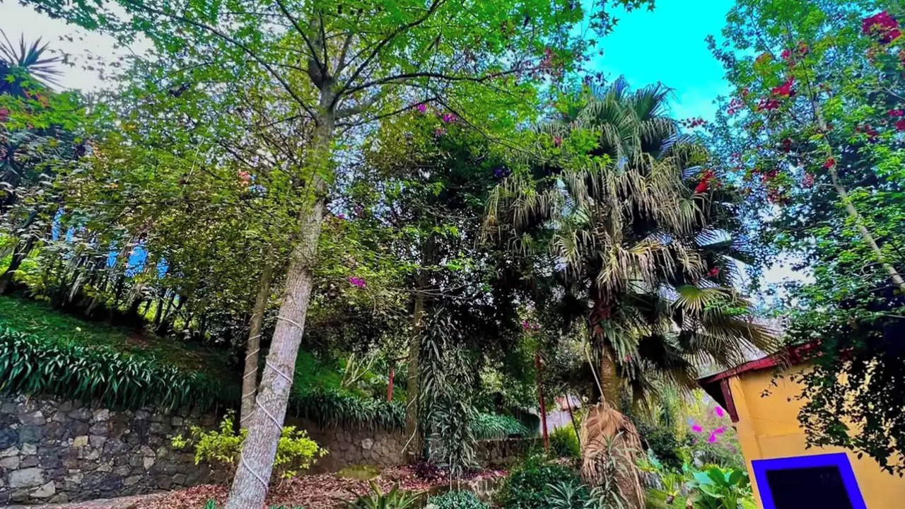 Photo of Outdoor in Xico