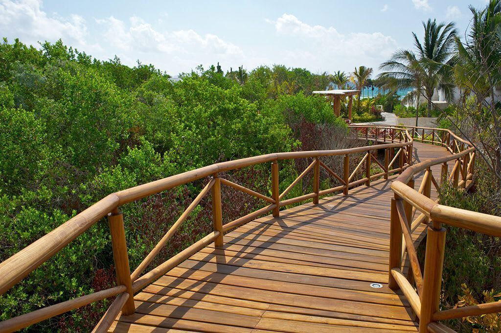Photo of Outdoor in Puerto Juarez