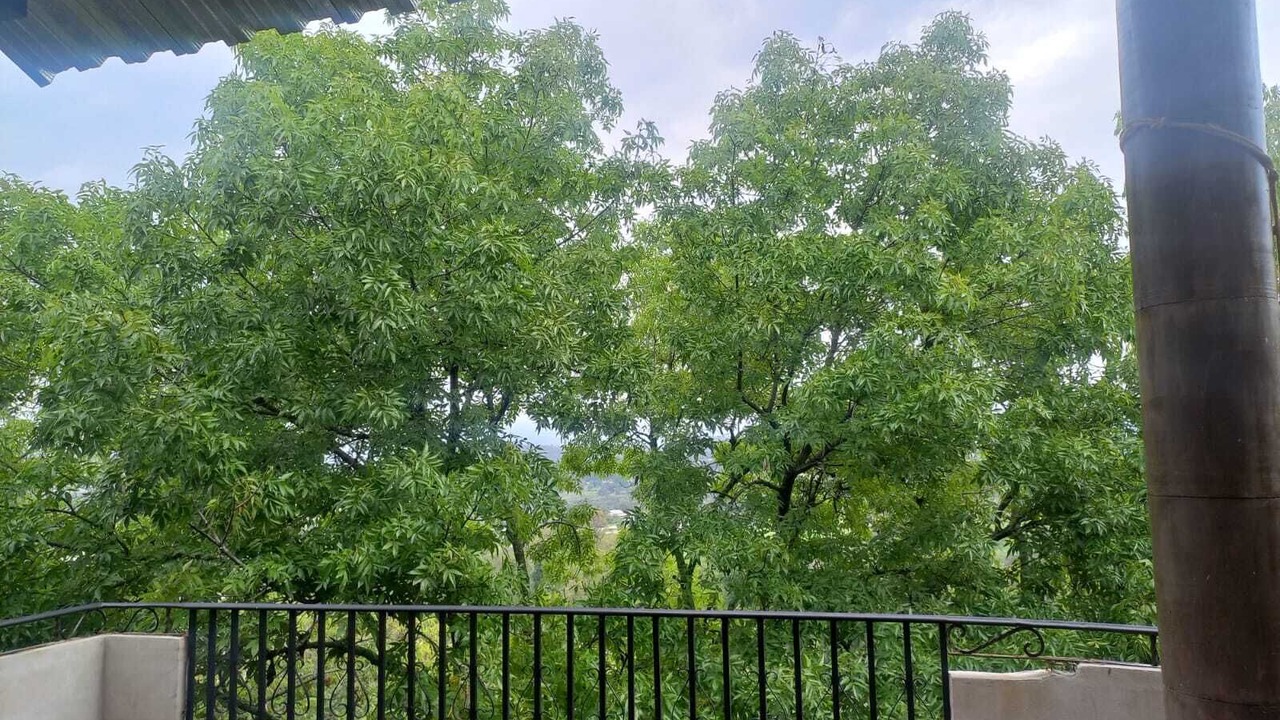 Photo of Outdoor in Zitacuaro