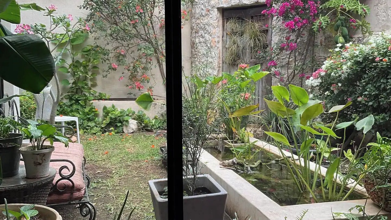 Photo of Outdoor in Barrio de Santiago