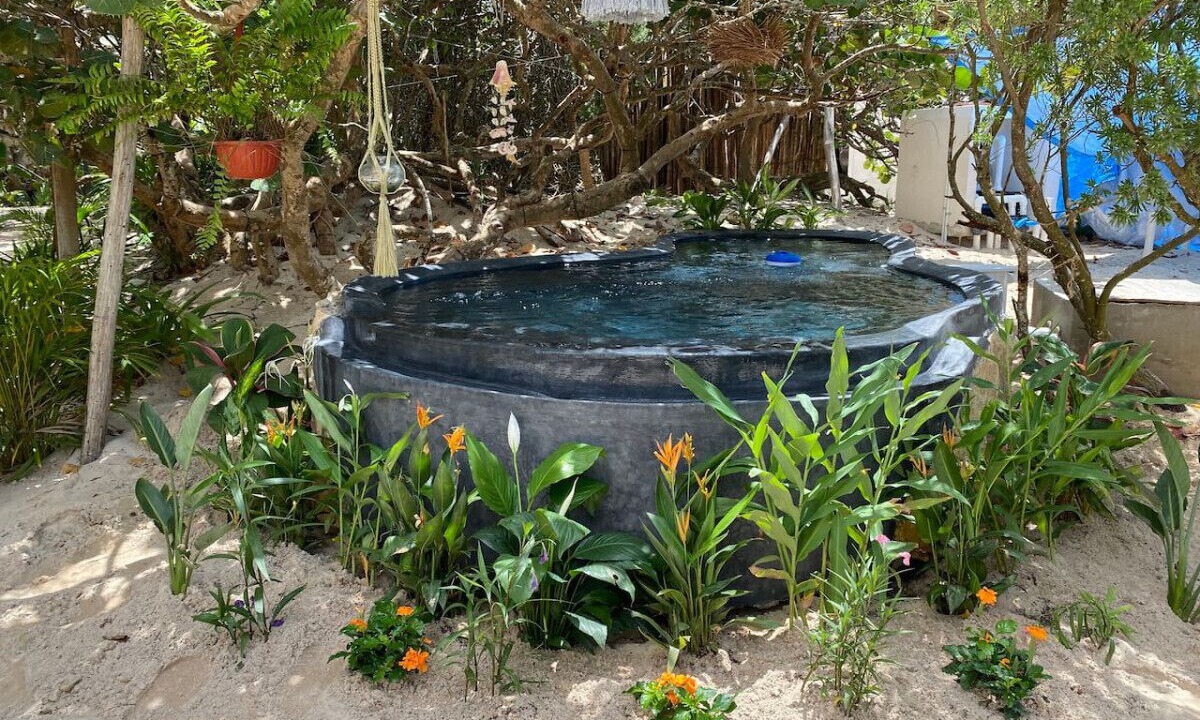 Photo of Outdoor in Chicxulub Puerto