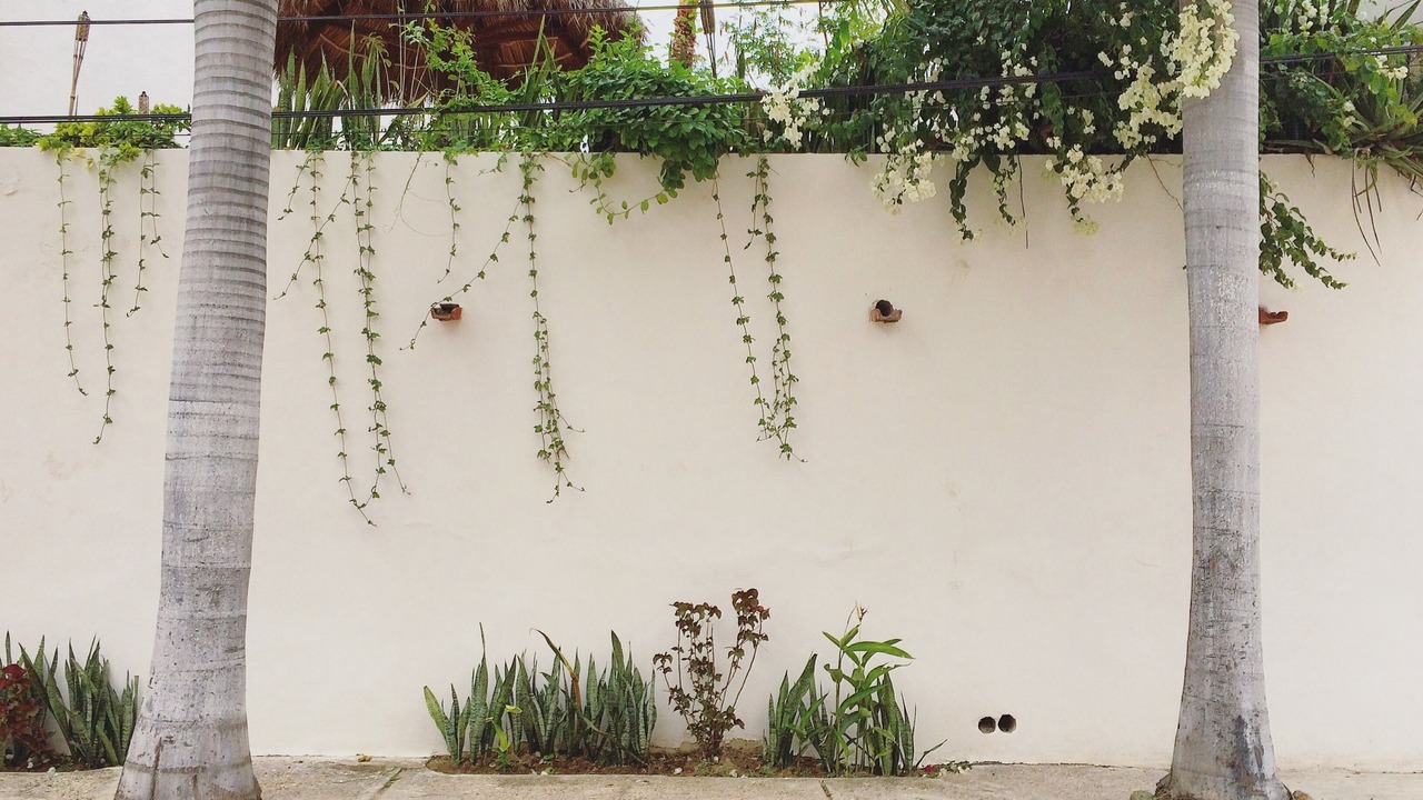 Photo of Outdoor in Emiliano Zapata