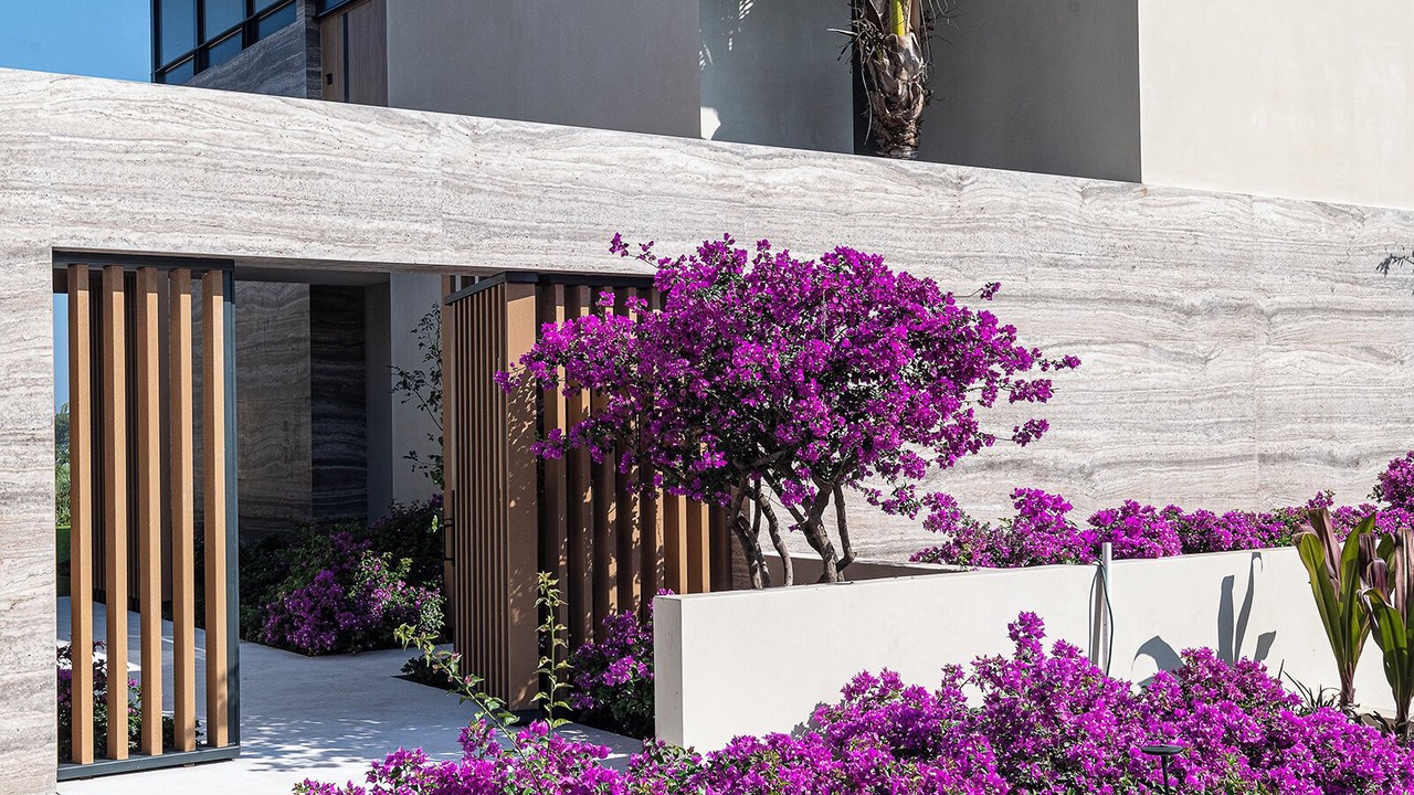 Photo of Outdoor in Punta de Mita