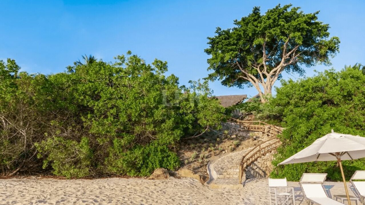 Photo of Others in Punta de Mita
