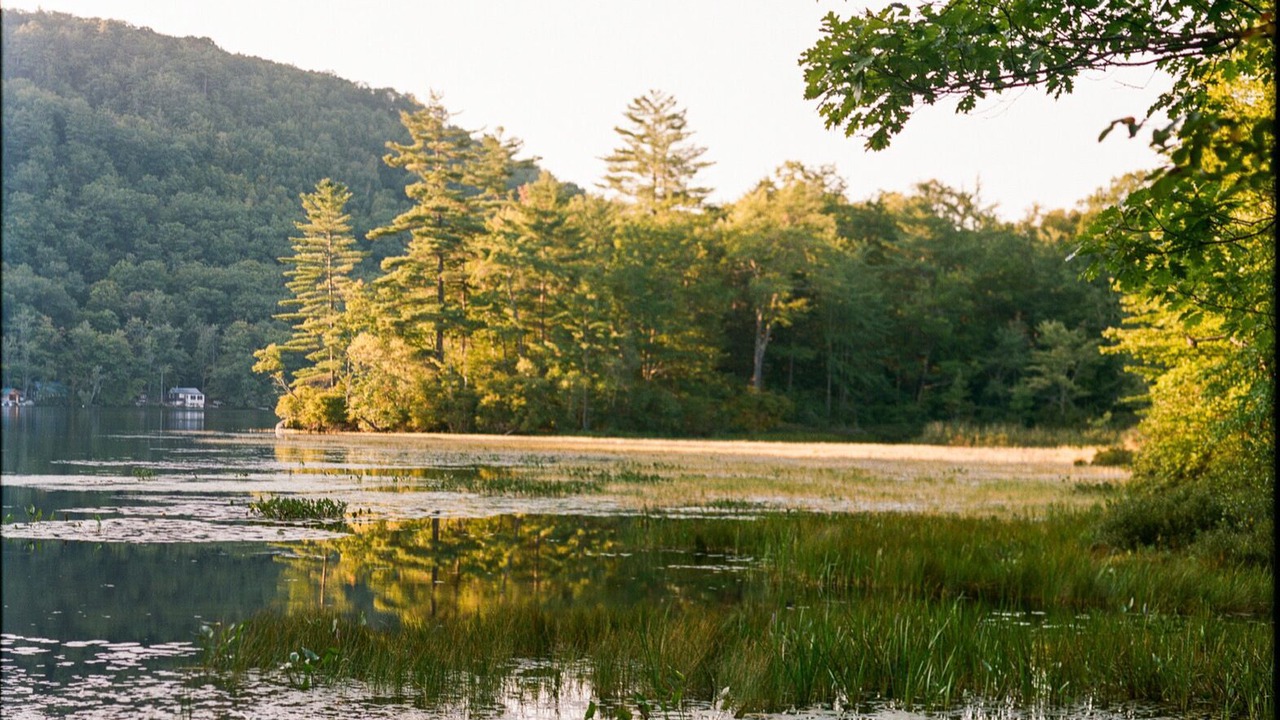 Photo of Others in South Pond Shores