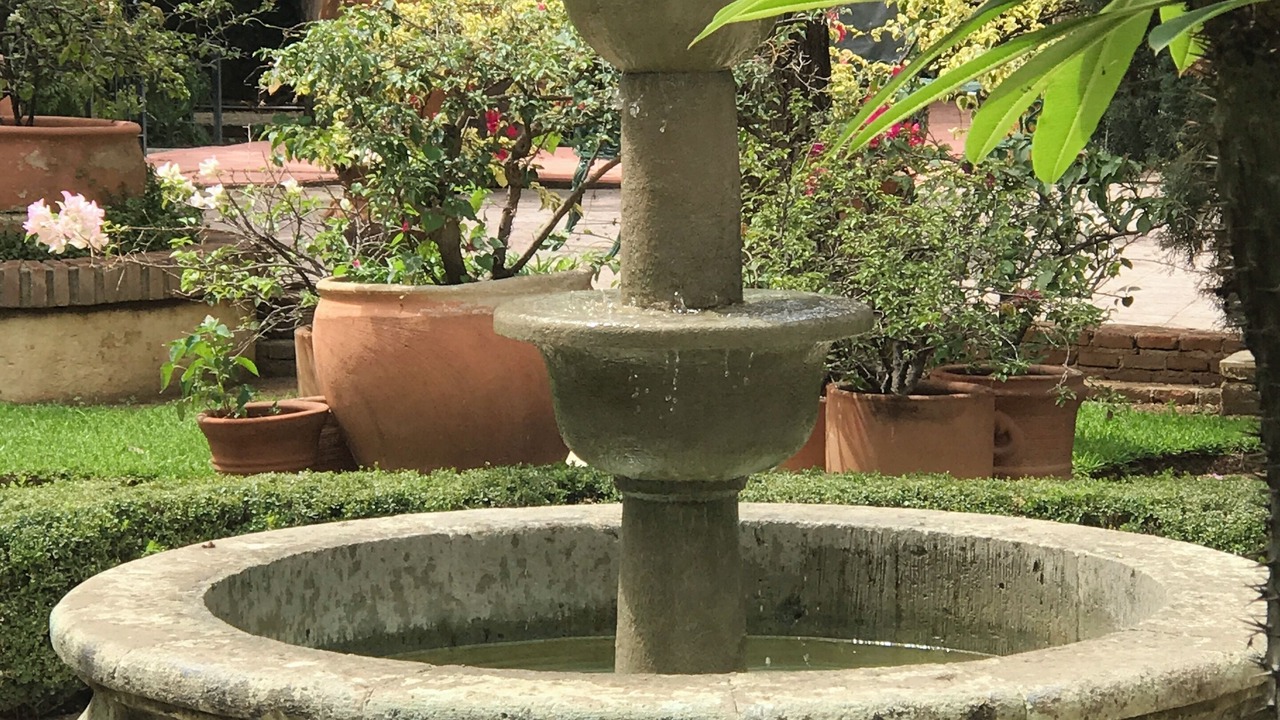 Photo of Outdoor in Santa Lucia del Camino
