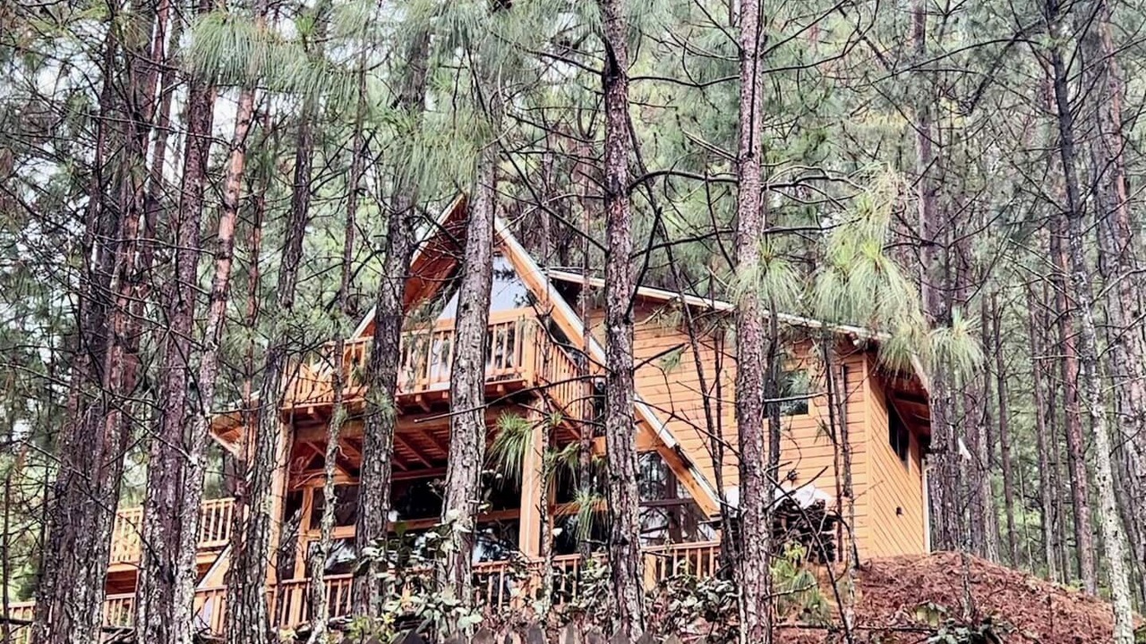 Photo of Outdoor in San Jose del Pacifico