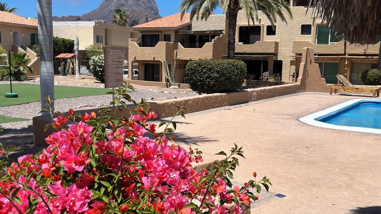 Photo of Outdoor in San Carlos