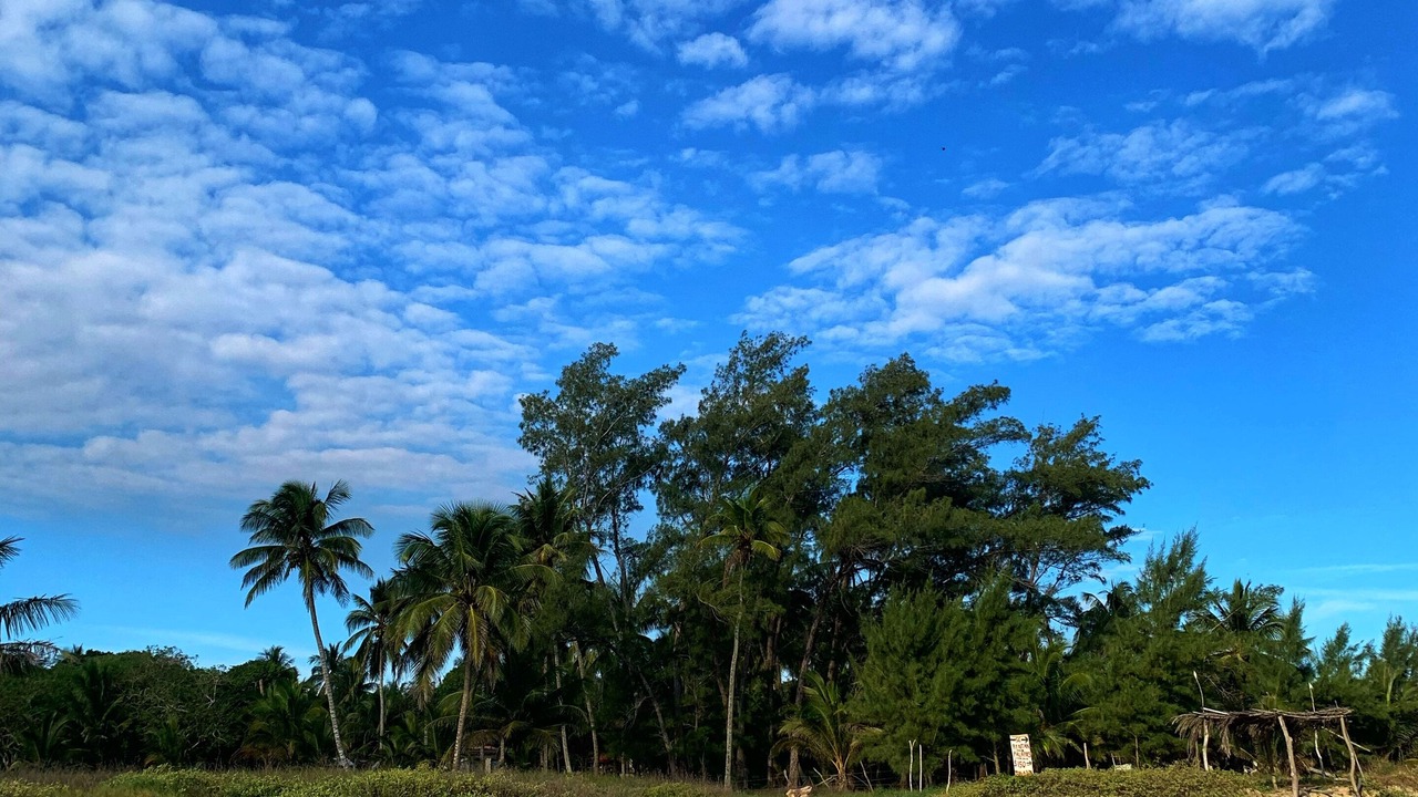 Photo of Others in Tuxpan
