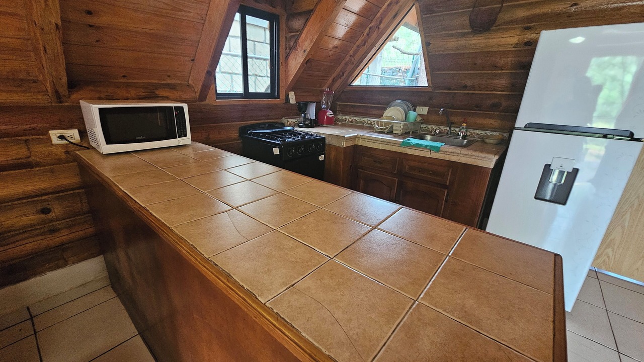 Photo of Kitchen in Santiago