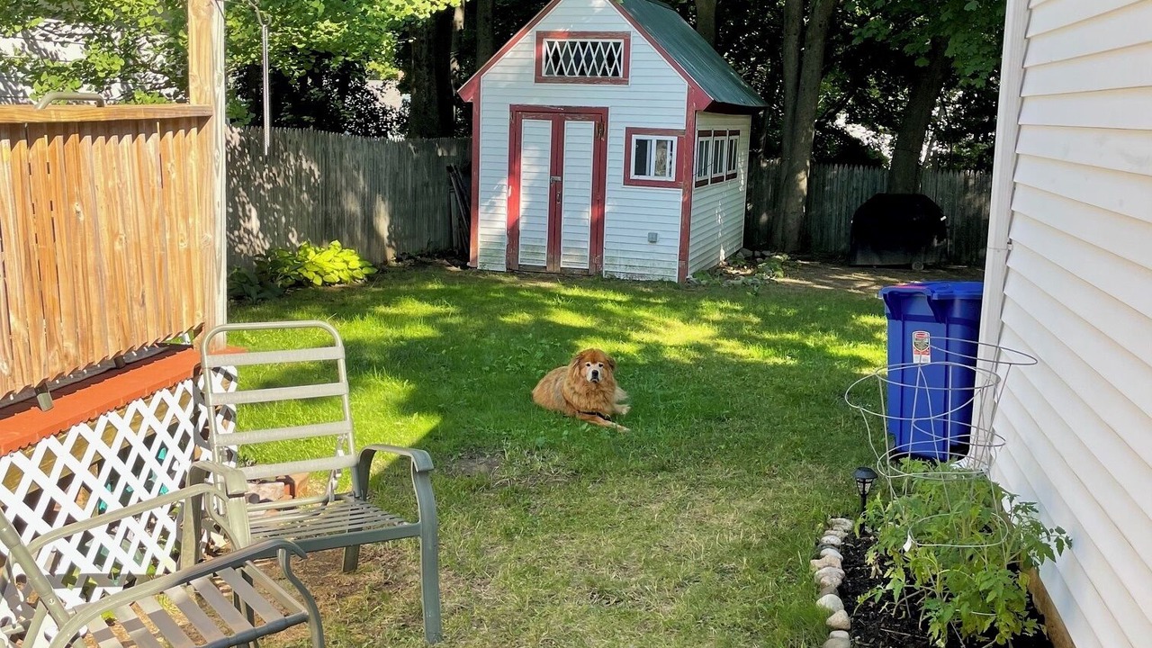 Photo of Outdoor in Auburn