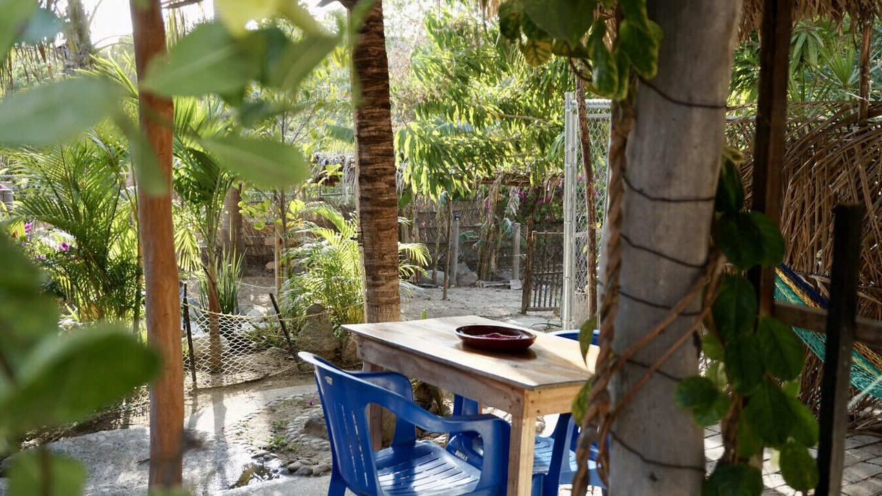 Photo of Outdoor in Emiliano Zapata