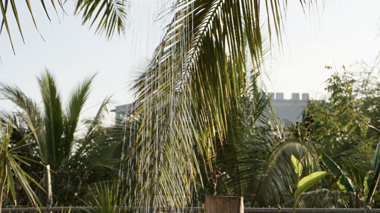 Photo of Outdoor in Punta de Mita