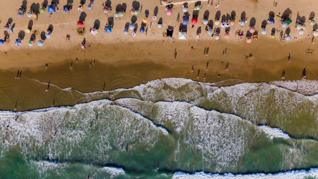 Photo of Others in Zona Dorada