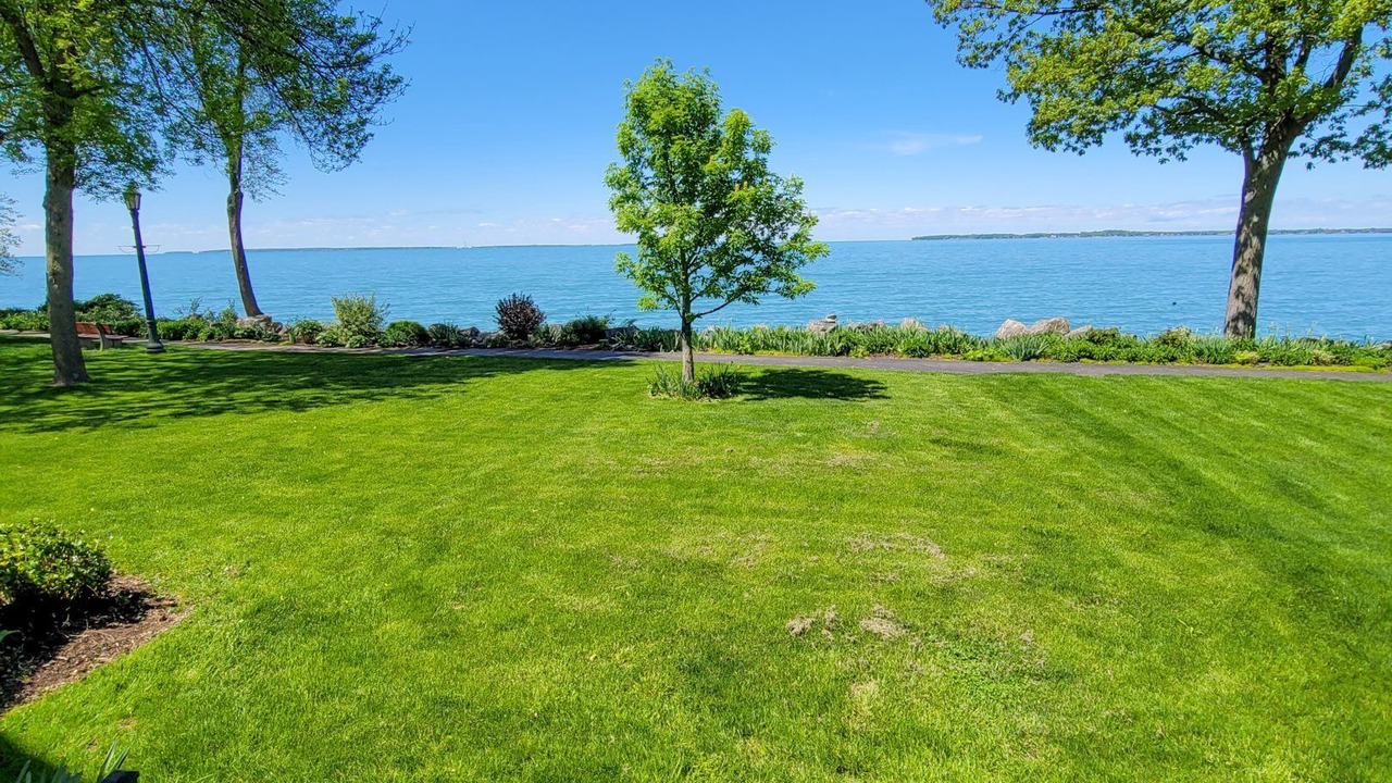 Photo of Outdoor in Lakeside