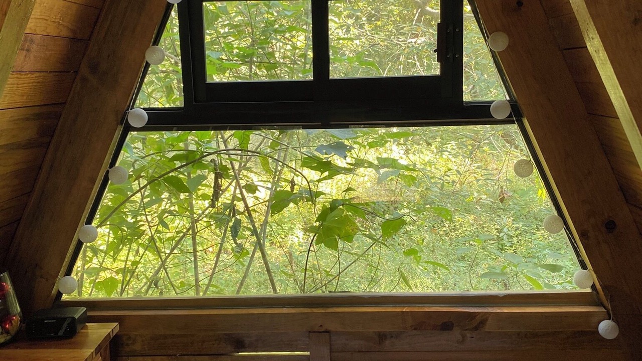 Photo of Bedroom in Tepoztlan