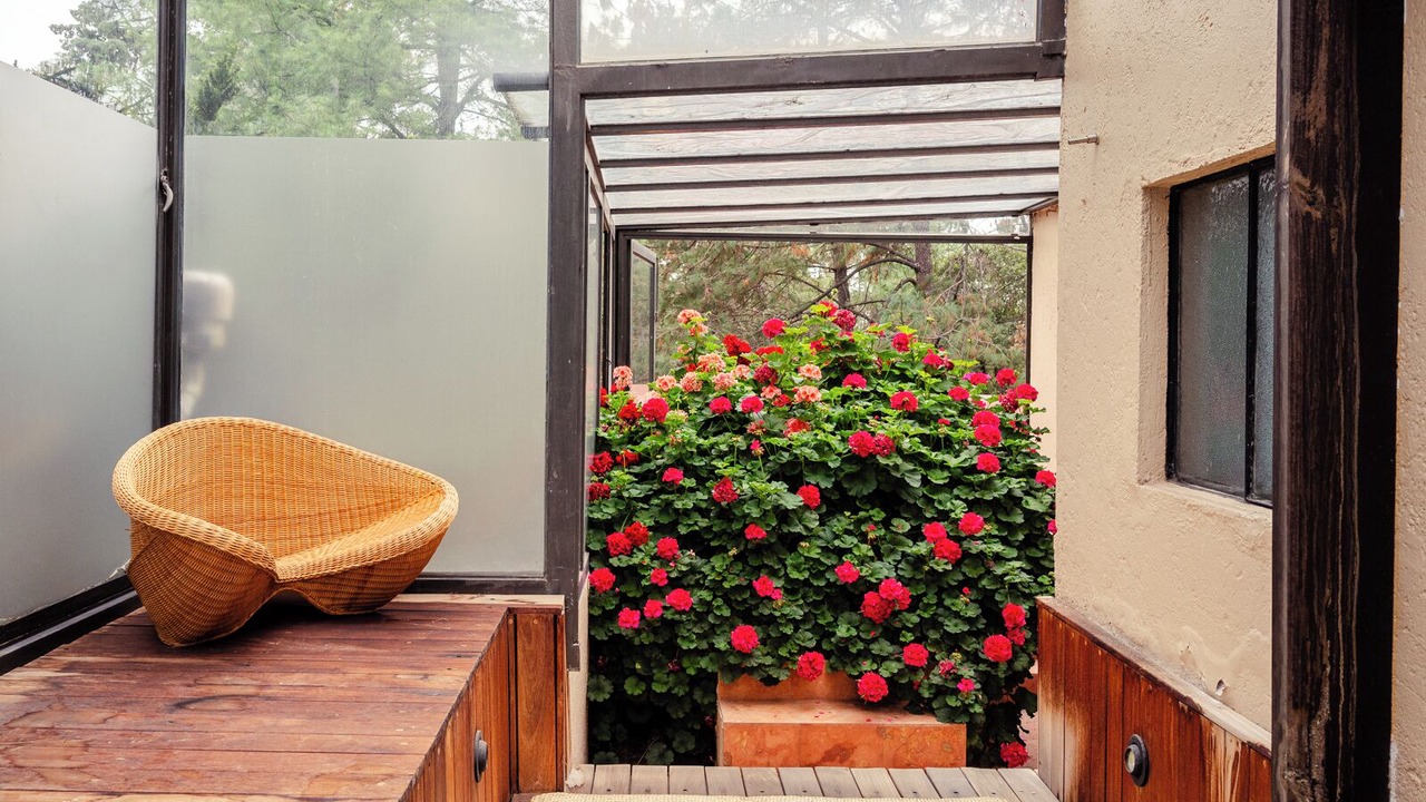 Photo of Patio Balcony in Tepetlaoxtoc