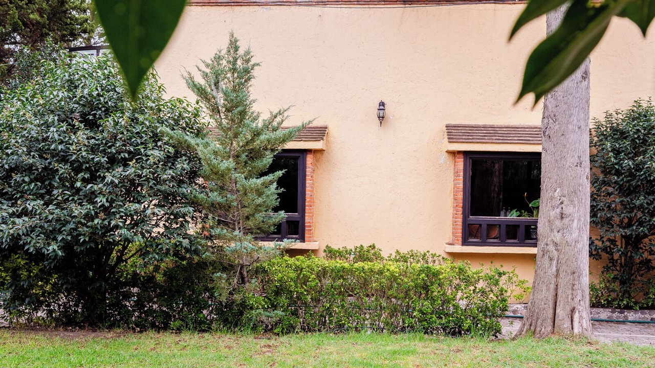 Photo of Outdoor in Tepetlaoxtoc
