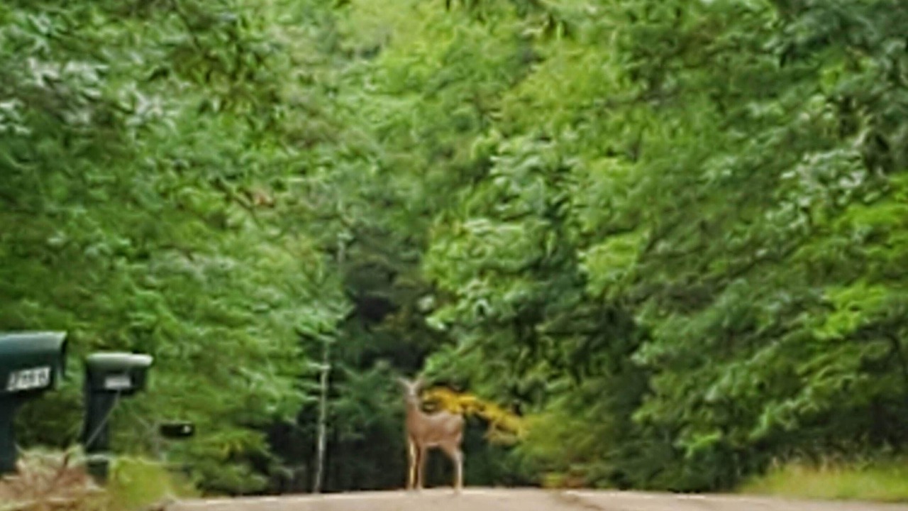 Photo of Others in Farwell