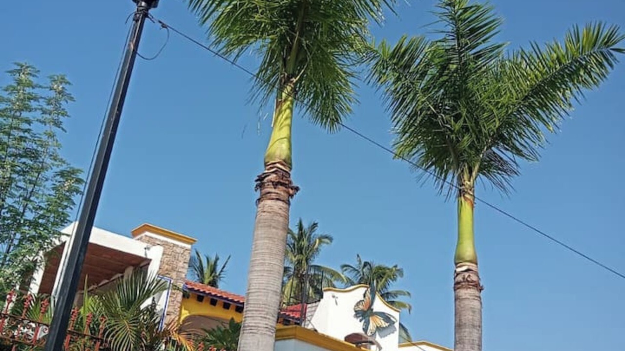 Photo of Outdoor in Rincon de Guayabitos