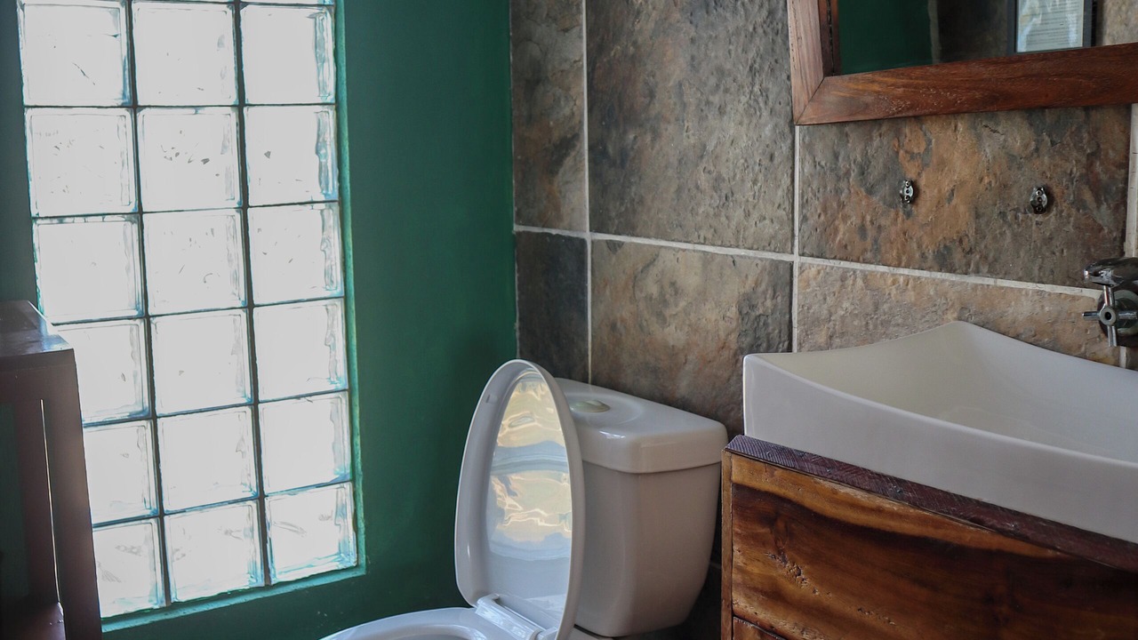 Photo of Bathroom in San Pedro Mixtepec