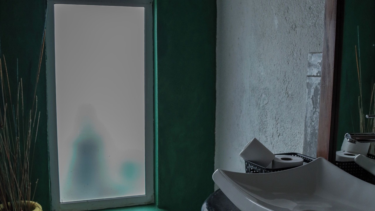 Photo of Bathroom in San Pedro Mixtepec