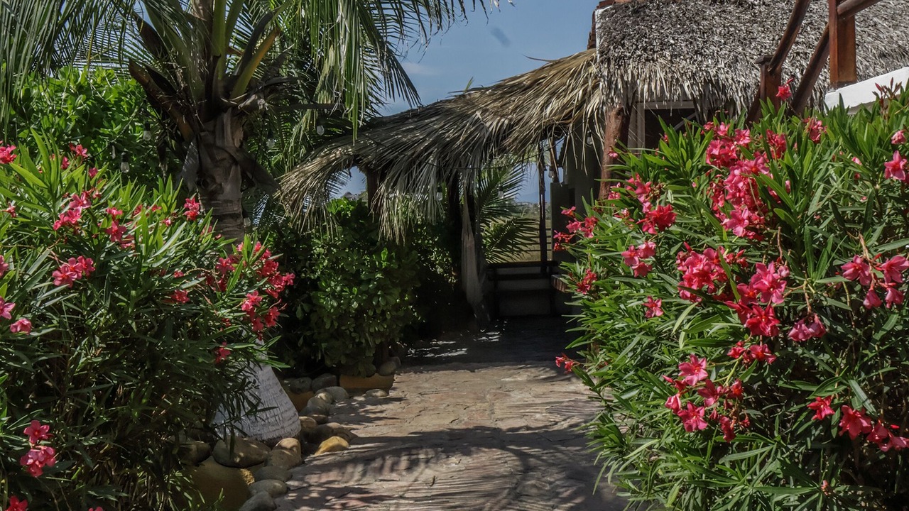 Photo of Outdoor in San Pedro Mixtepec