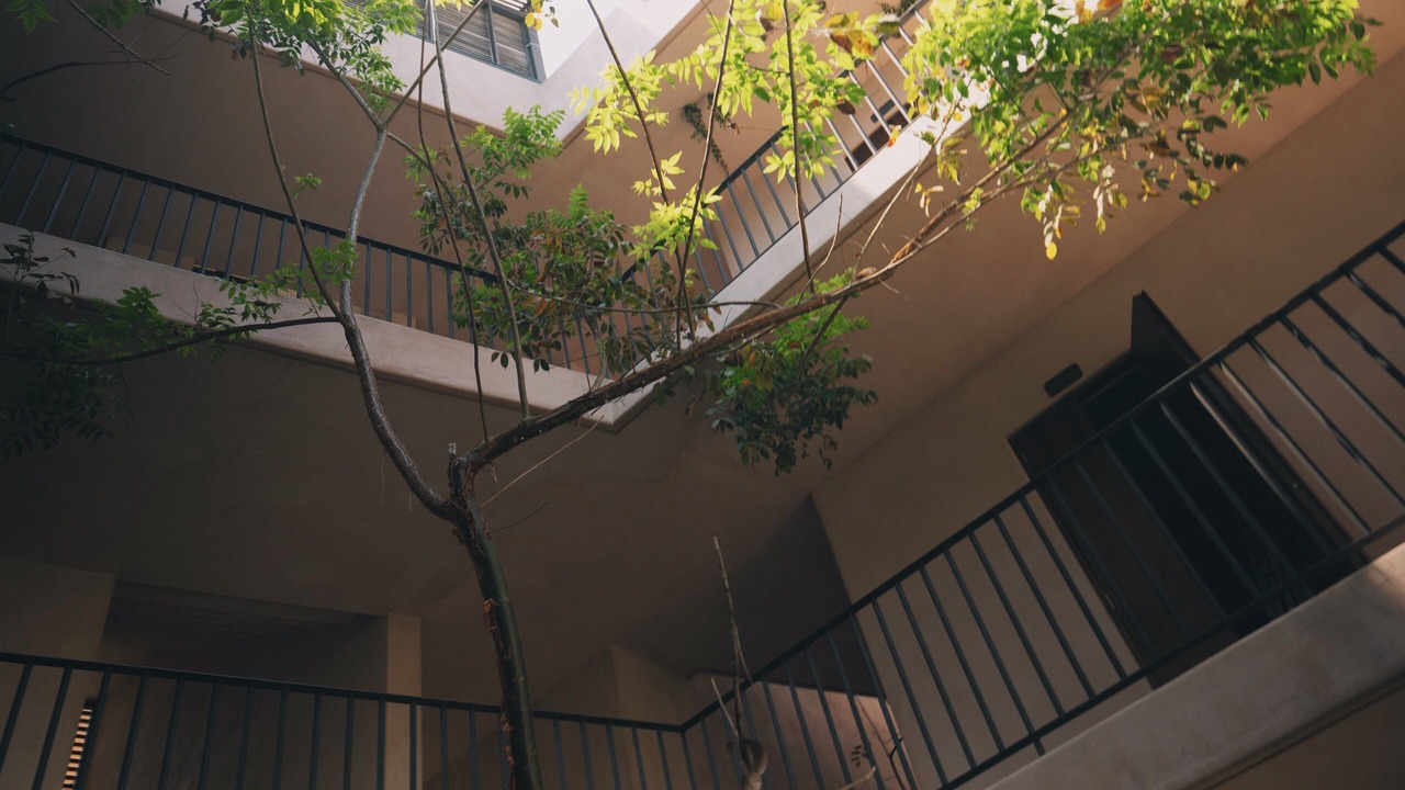 Photo of Patio Balcony in San Francisco