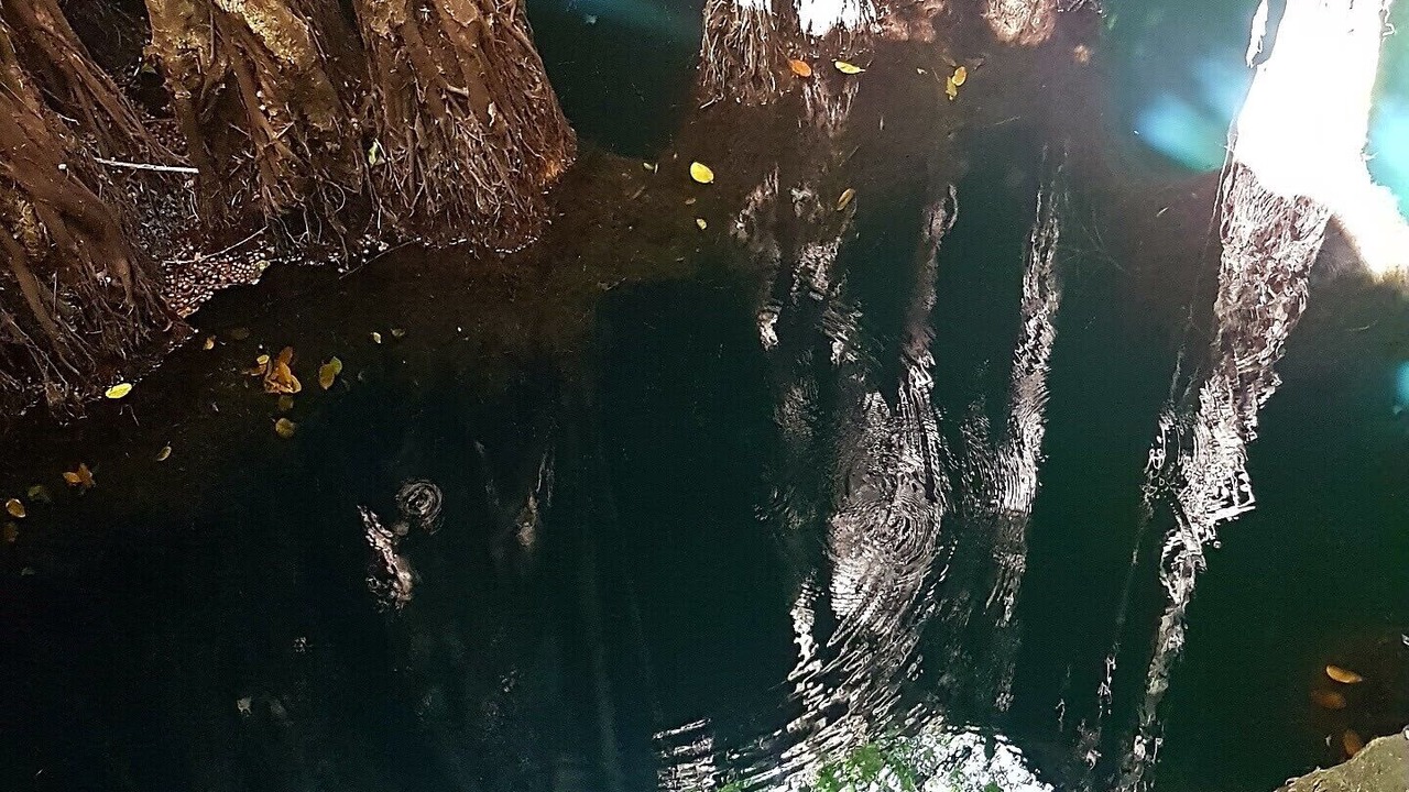 Photo of Others in Yucatan Peninsula