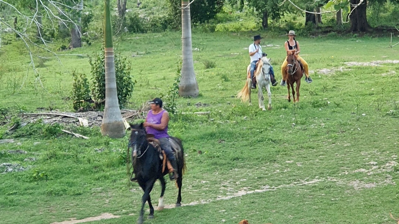 Photo of Others in Yucatan Peninsula