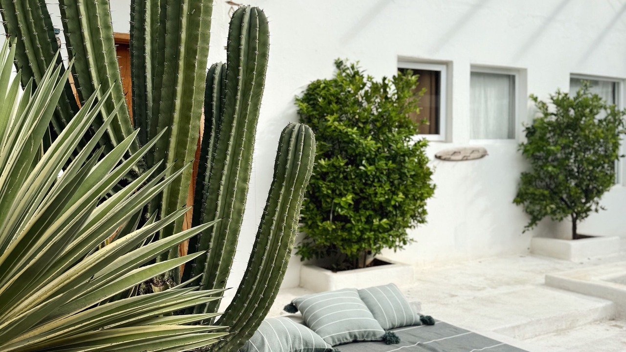 Photo of Outdoor in Barra de Colotepec