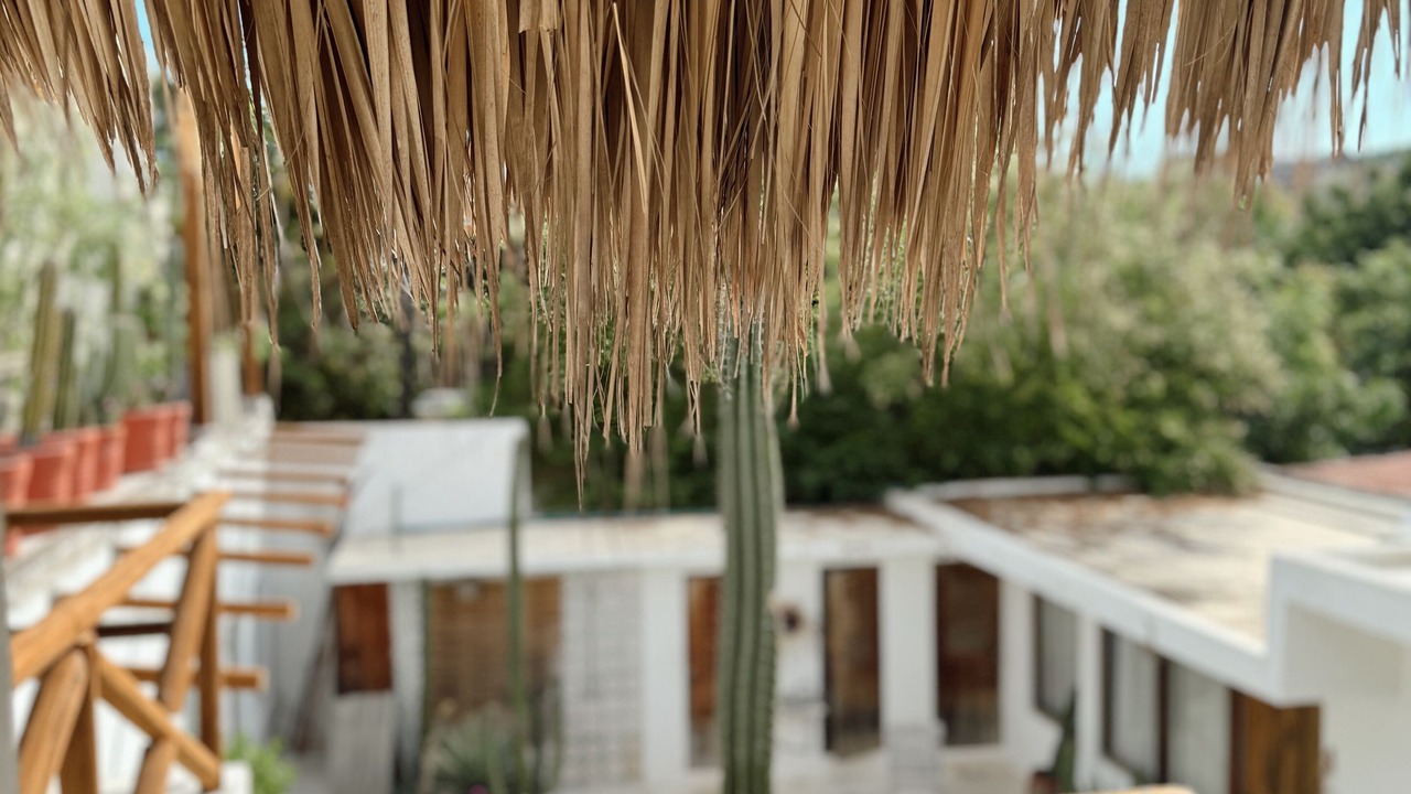 Photo of Outdoor in Barra de Colotepec