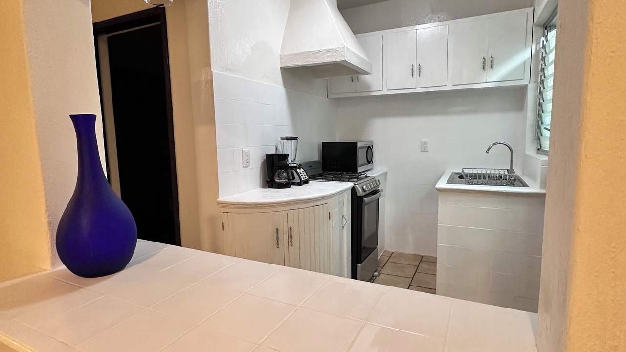 Photo of Kitchen in Chapala Centro