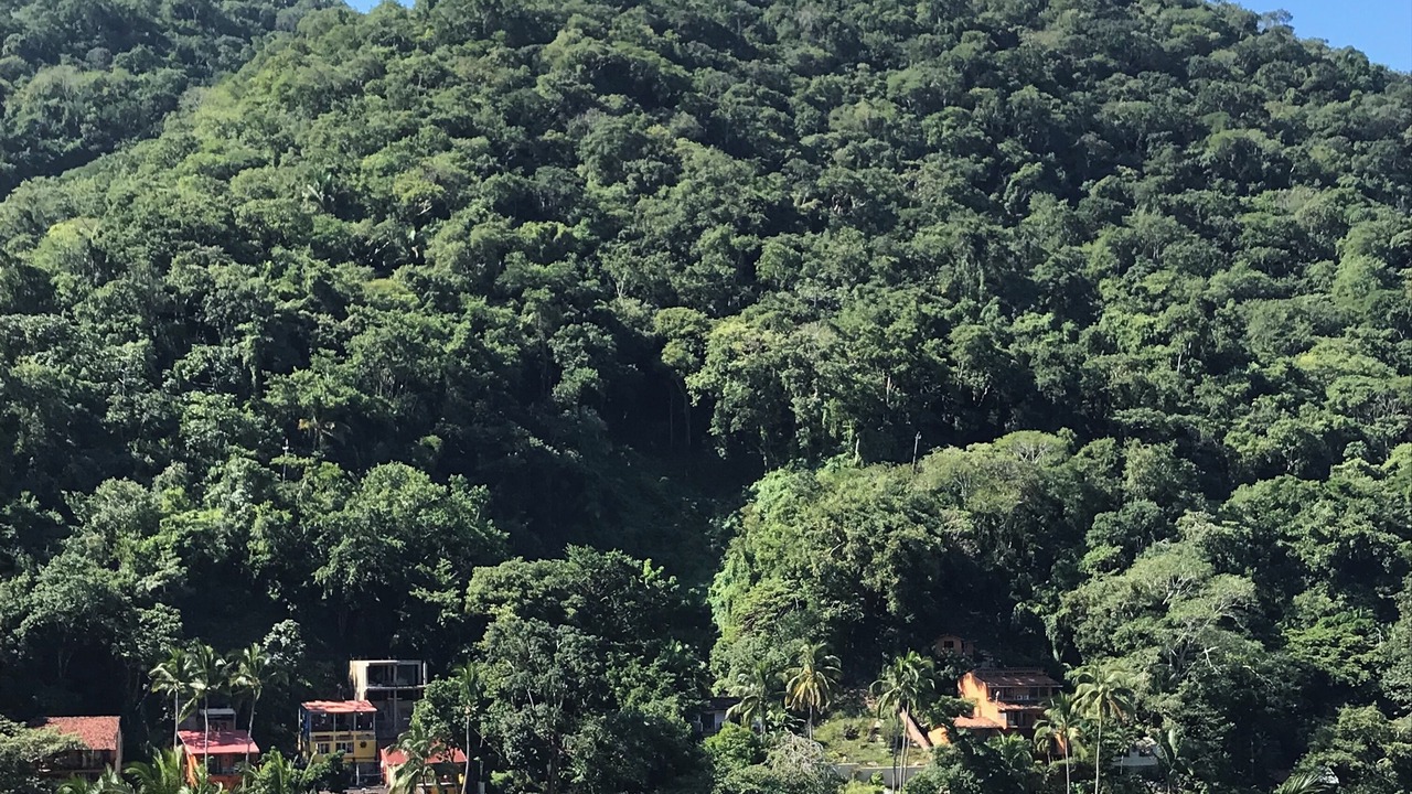 Photo of Others in Boca de Tomatlan