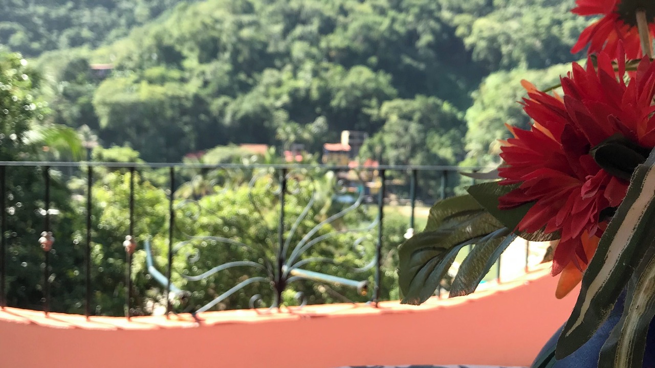 Photo of Outdoor in Boca de Tomatlan