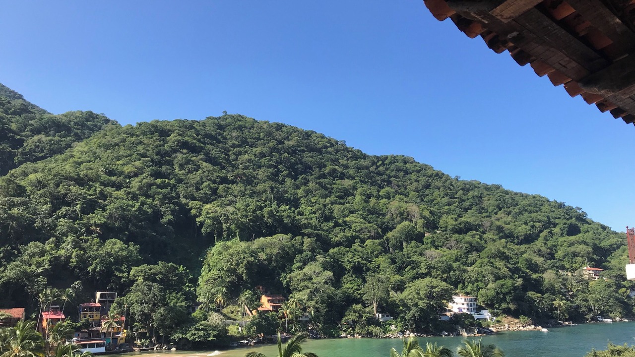 Photo of Others in Boca de Tomatlan