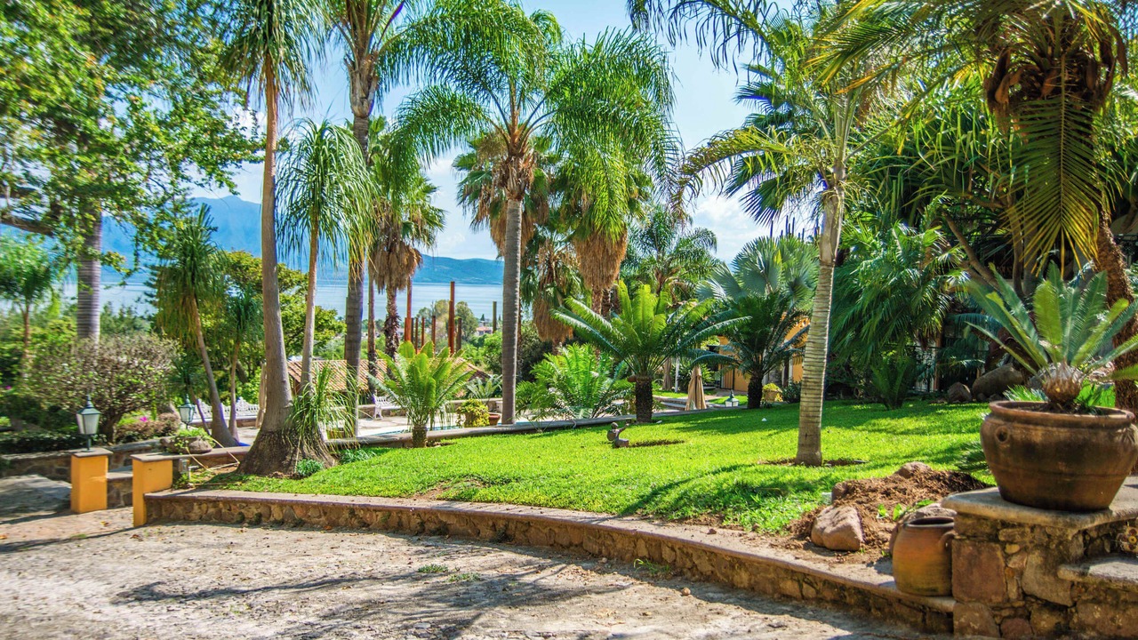 Photo of Outdoor in Ajijic