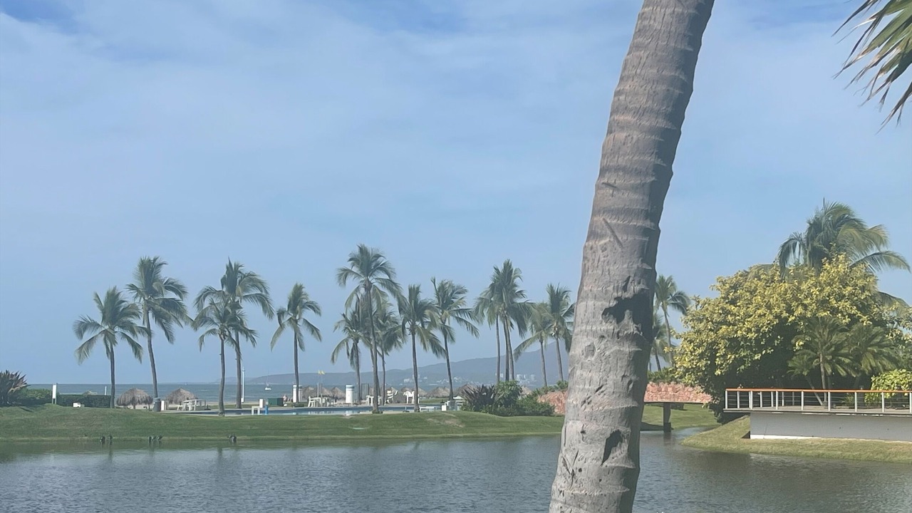 Photo of Outdoor in Las Jarretaderas