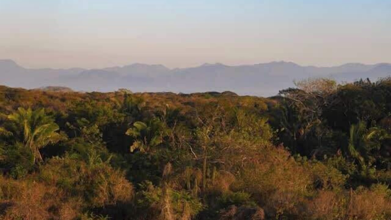 Photo of Others in Punta de Mita