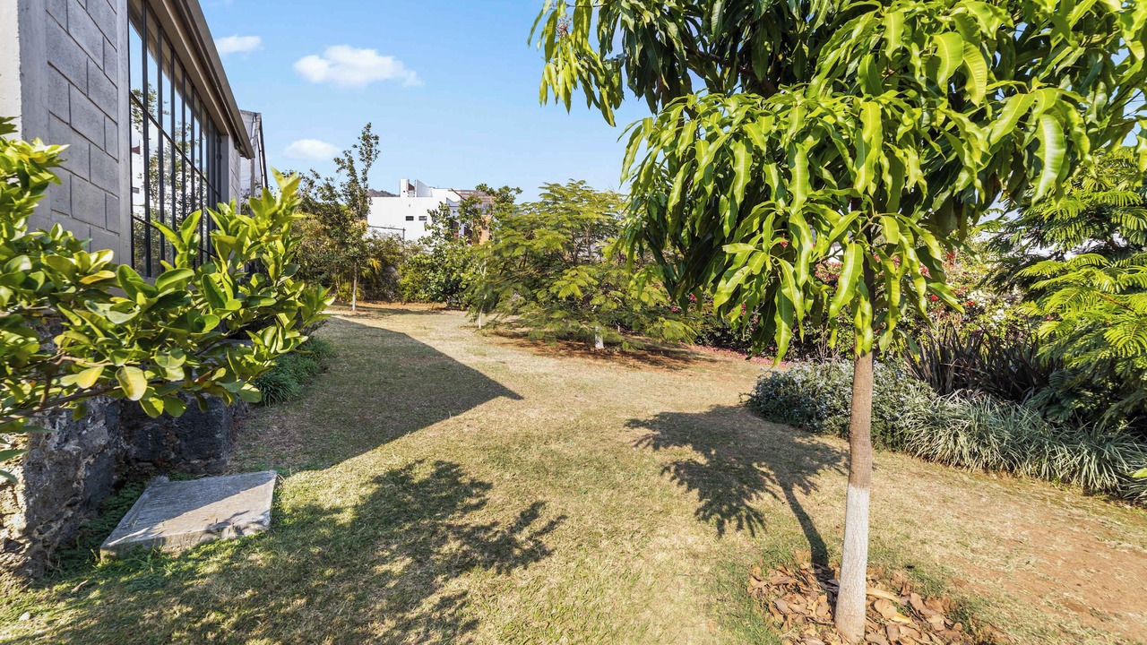 Photo of Outdoor in Amatlan