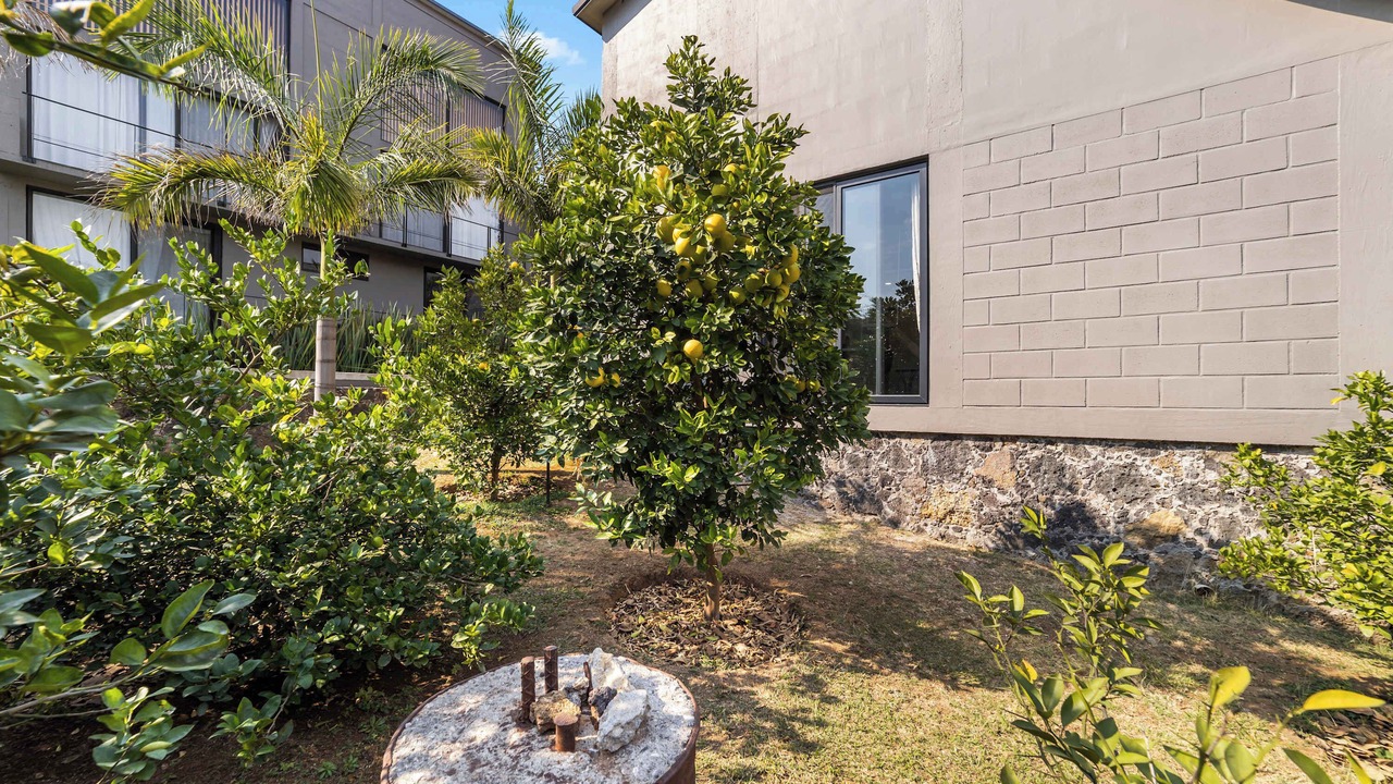 Photo of Outdoor in Amatlan