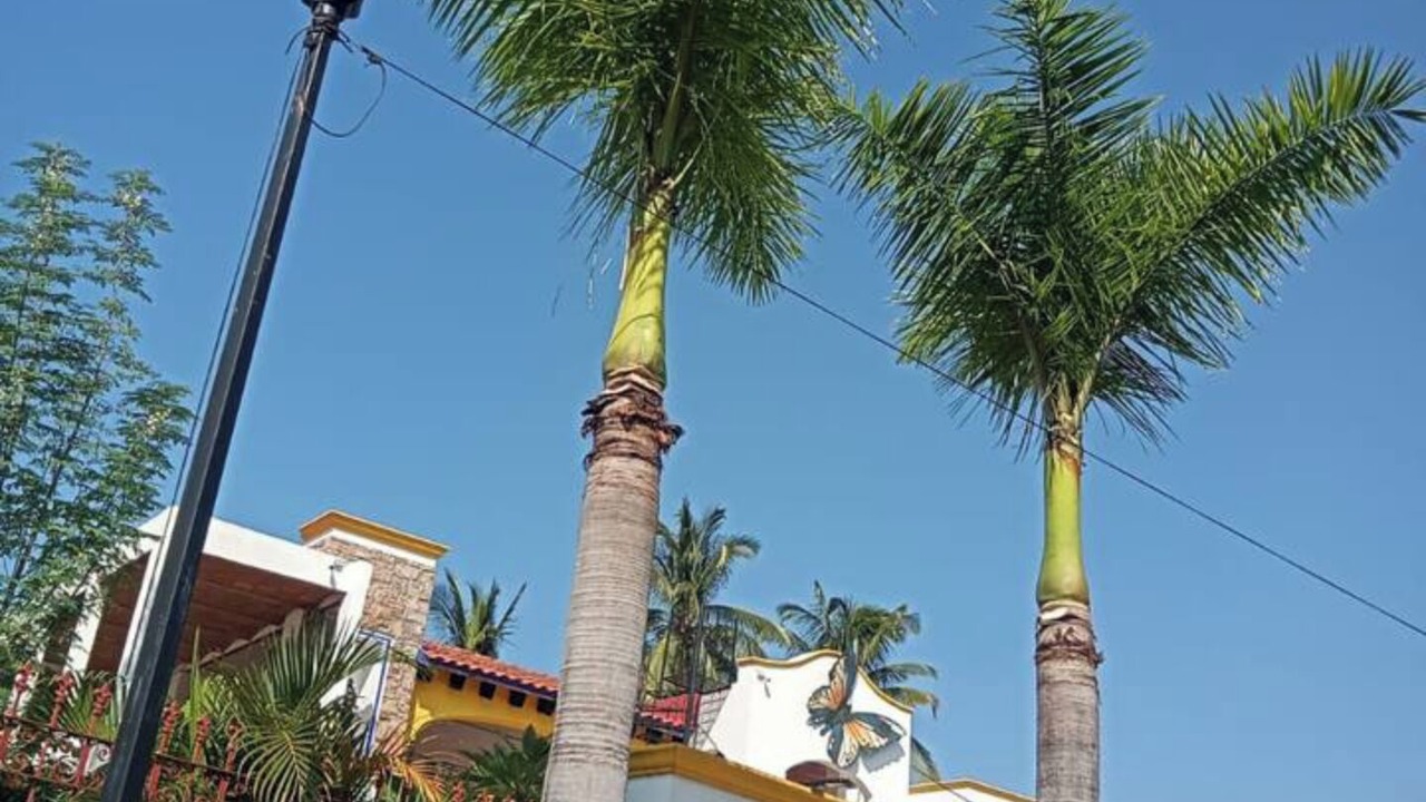 Photo of Outdoor in Rincon de Guayabitos
