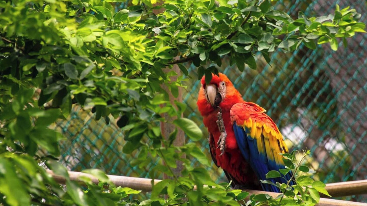 Photo of Others in La Punta