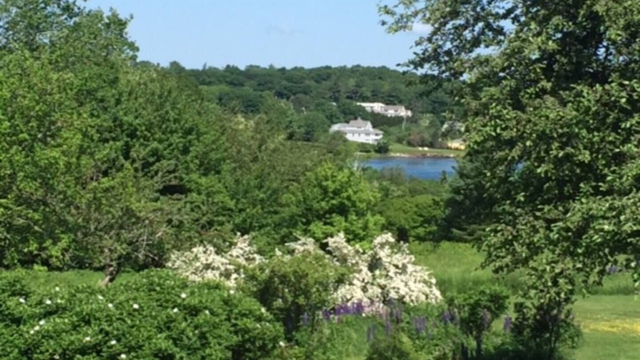 Photo of Outdoor in Owls Head