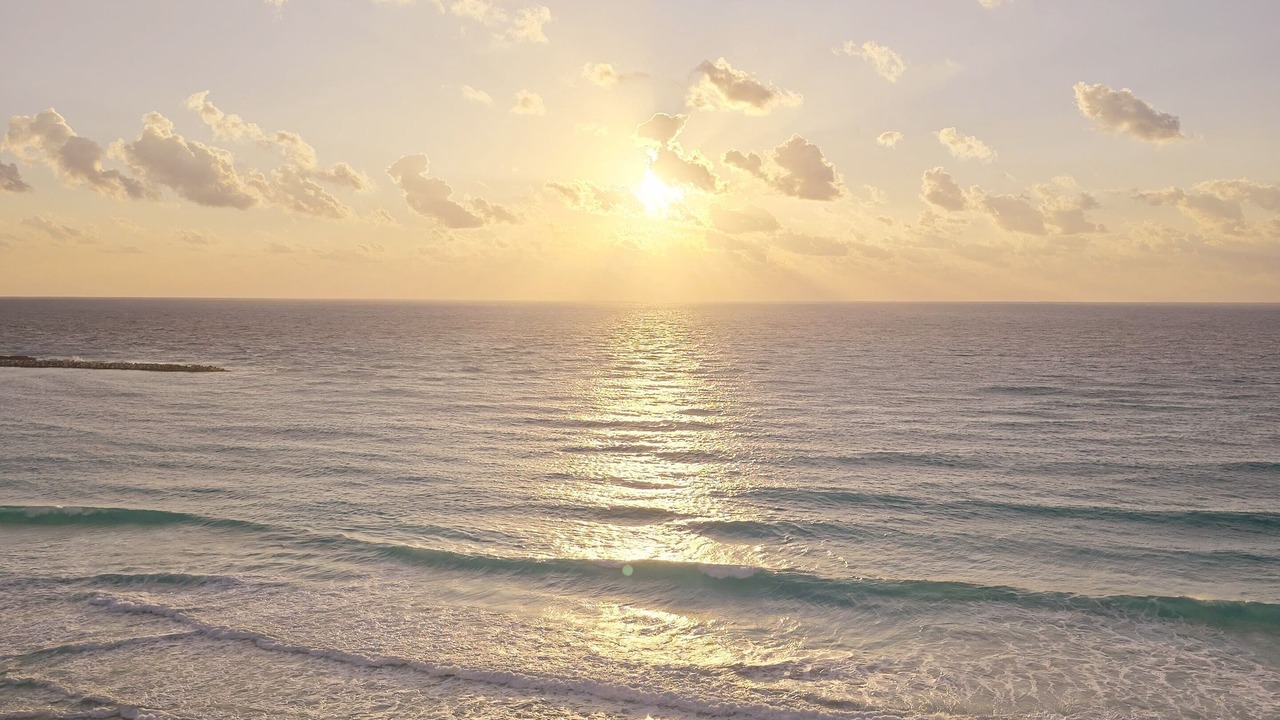 Photo of Others in Punta Cancun