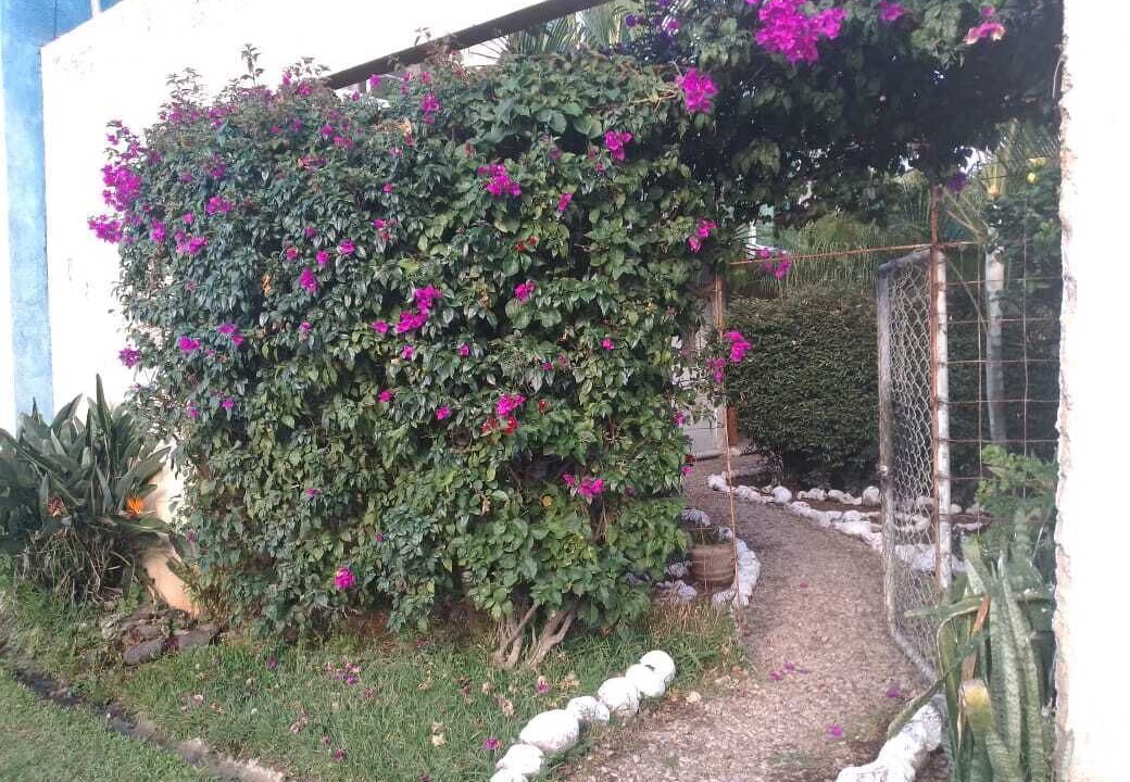 Photo of Outdoor in Cocoyoc