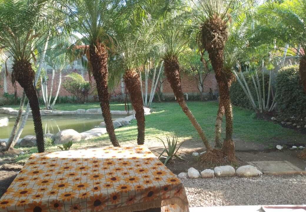 Photo of Outdoor in Cocoyoc