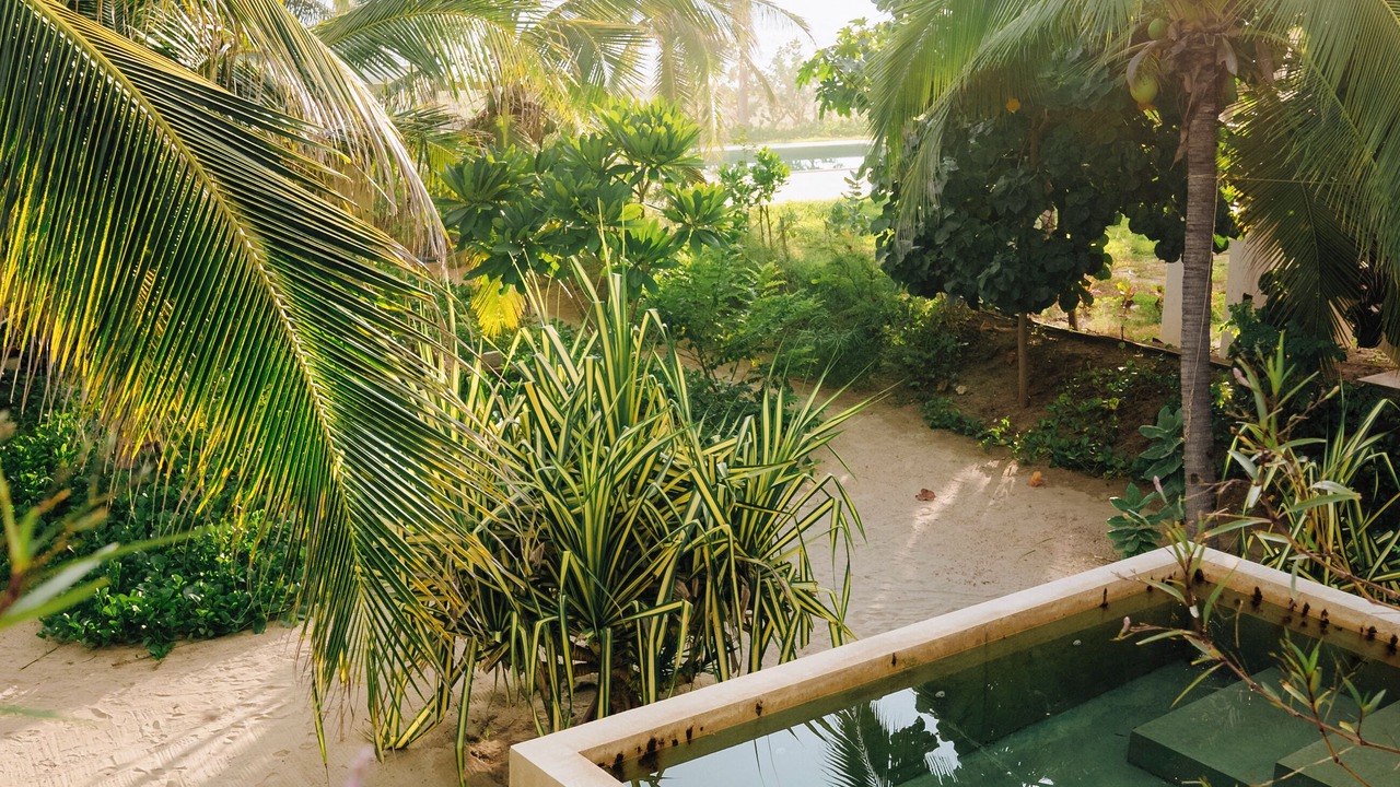 Photo of Outdoor in Barra de Colotepec