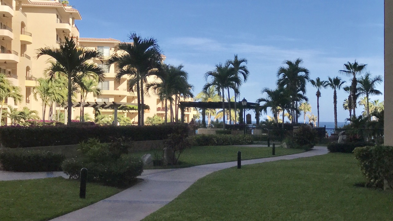 Photo of Others in Los Cabos