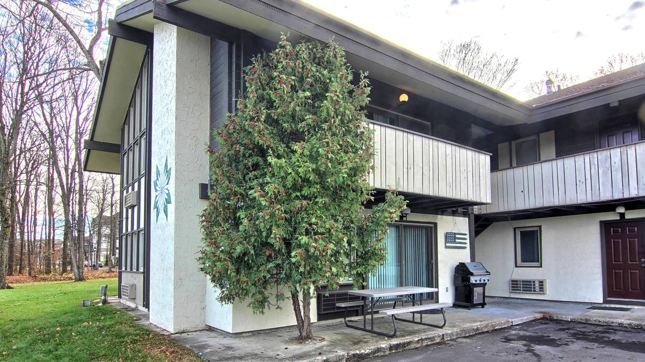 Photo of Outdoor in Boyne Falls